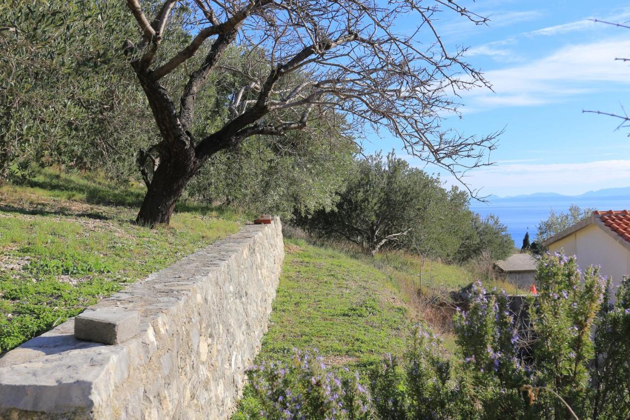 Apartments With A Parking Space Brela, Makarska - 18495 Dış mekan fotoğraf